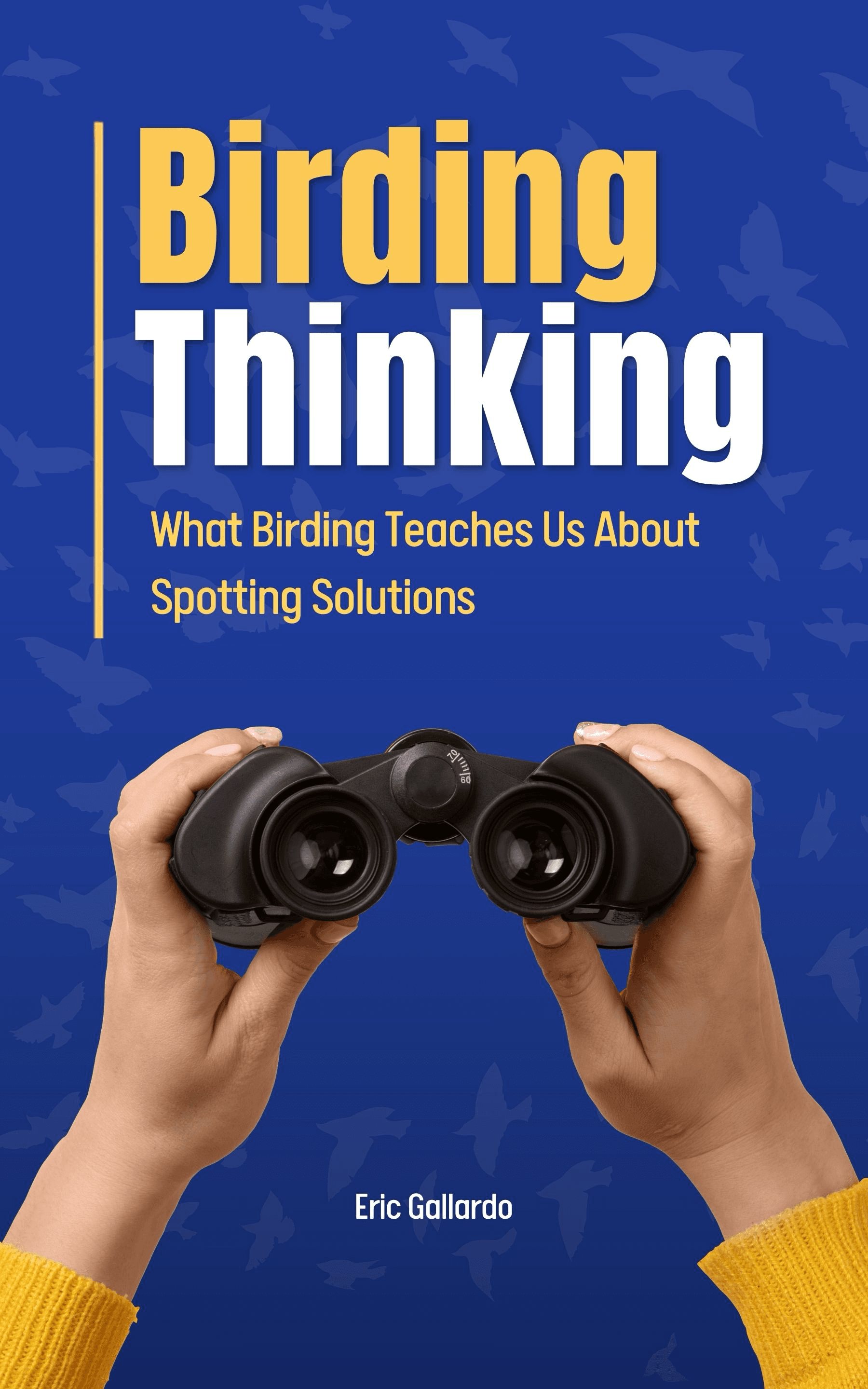 Birding Thinking — book cover by Eric Gallardo